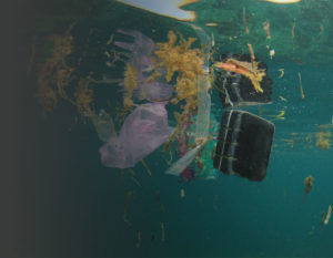 biodegradable plastic testing - marine