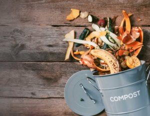 Industrial Compost Biodegradation