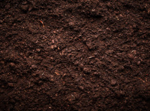 soil environment for biodegradable plastic testing