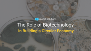 The Role of Biotechnology in Building a Circular Economy 